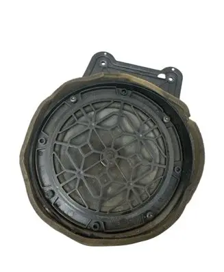 Front door speaker