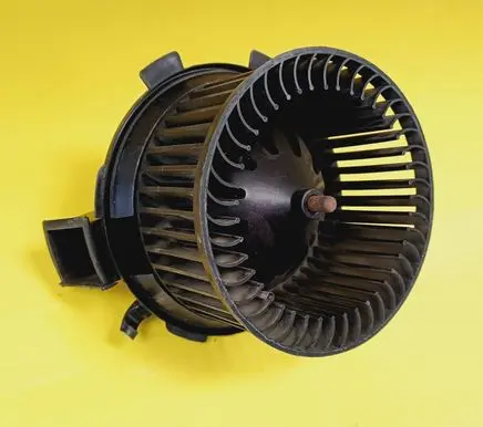 Peugeot 206 Heater fan/blower 5576705