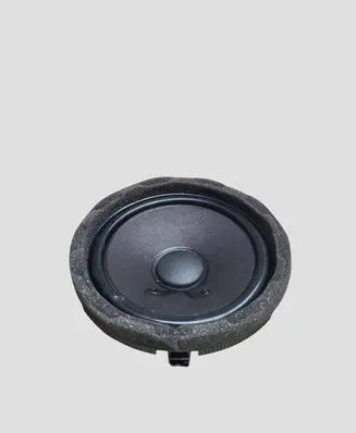 Mercedes-Benz EQE v295 Front door speaker A2238201300