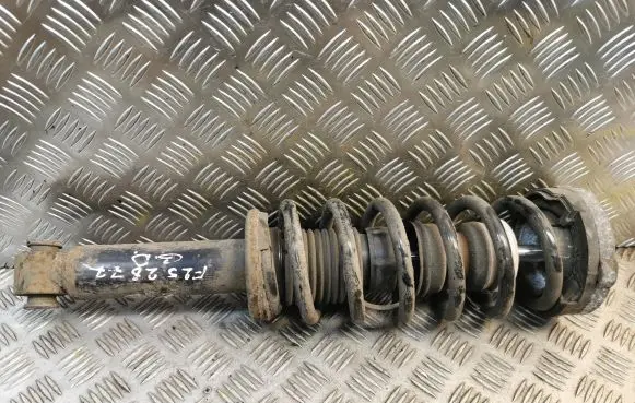 BMW X3 F25 Rear shock absorber/damper