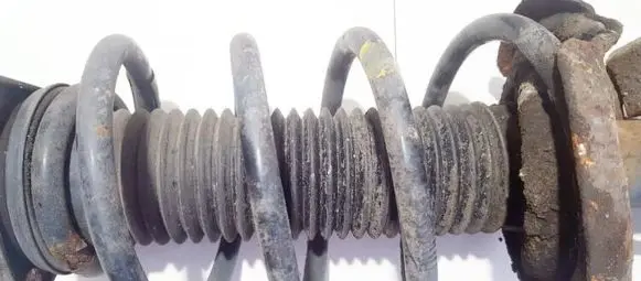 Front coil spring