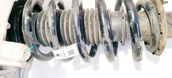 Tesla Model Y Front coil spring 118806400D