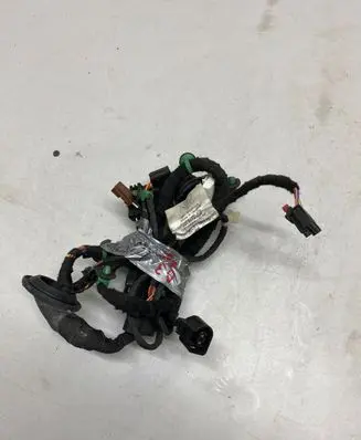Porsche Taycan 9J1 Rear door wiring loom 9j1971693a 20022020