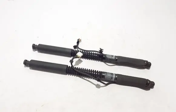 Tesla Model X Rear door soft close latching motor 