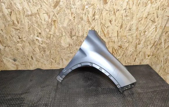 Peugeot 4008 Fender