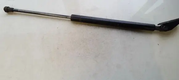 Tailgate/trunk strut/damper
