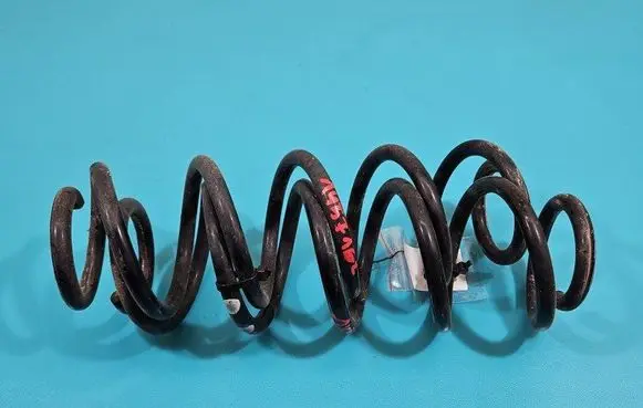 Rear coil spring