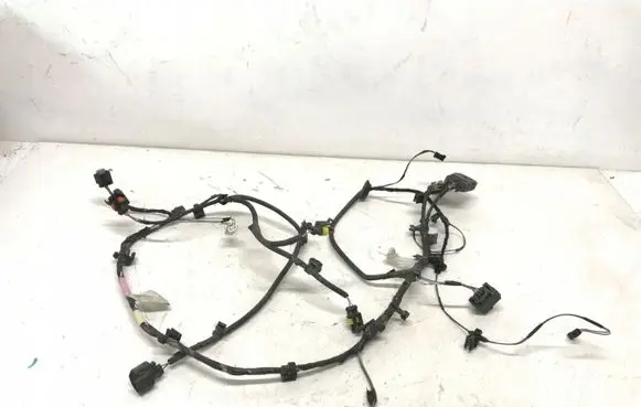 Tesla Model X Other wiring loom 103243800F