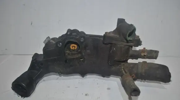 Thermostat/thermostat housing