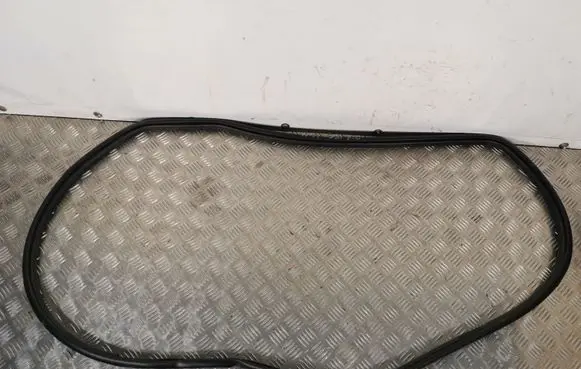 Toyota Prius (XW50) Rear door rubber seal (on body) PRIUS17GUMADPG