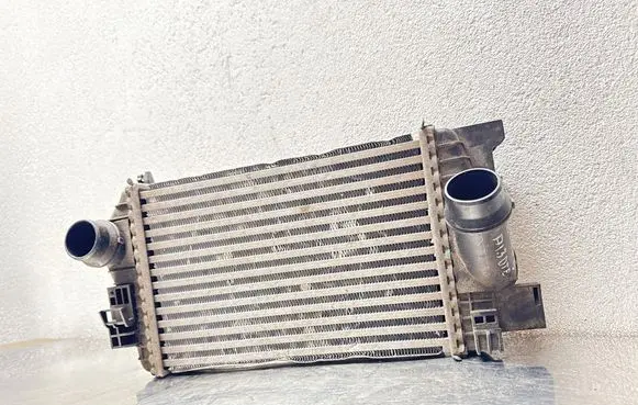 Opel Meriva A Coolant radiator 560961104 R3449004 13283252
