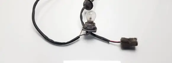 Hyundai Santa Fe Tail light bulb cover holder