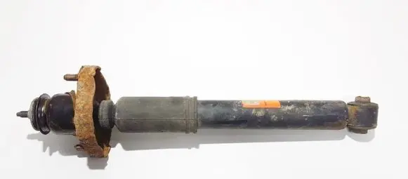 Mitsubishi Outlander Rear shock absorber/damper jgt1190t