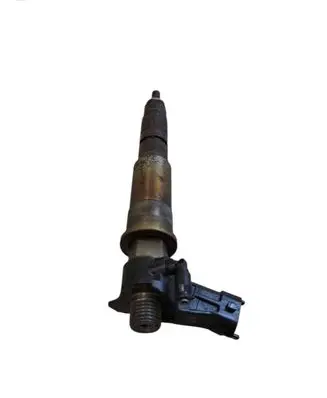 Renault Laguna III Fuel injector 0445115007 H82409398