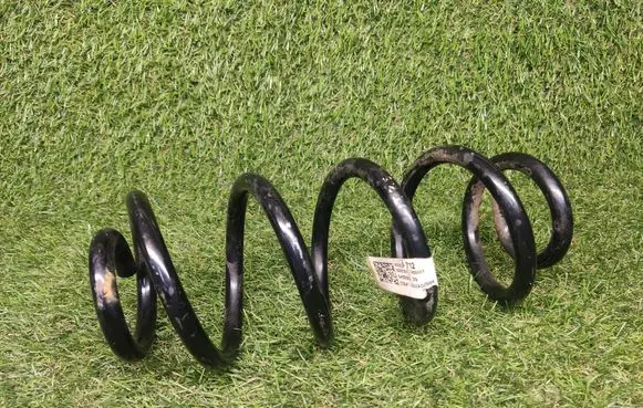 Buick Encore I Rear coil spring 42839712