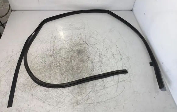 Mercedes-Benz Sprinter W906 Rubber seal front coupe door Z009Q004