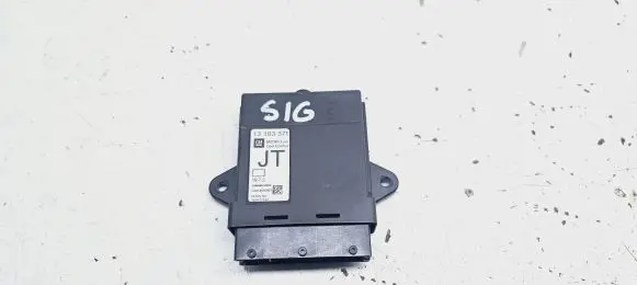 Opel Signum Door control unit/module 13193371