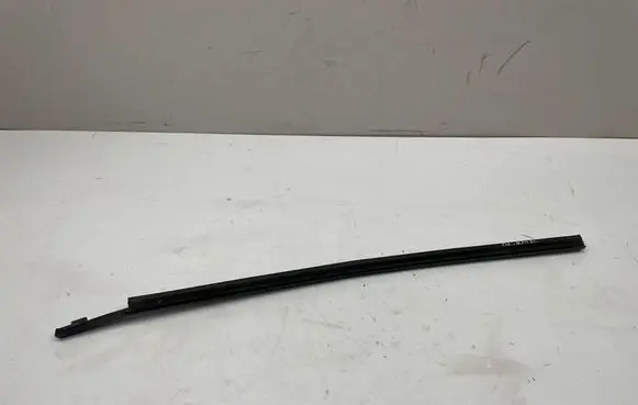 Renault Scenic IV - Grand scenic IV Rubber seal rear door window/glass 