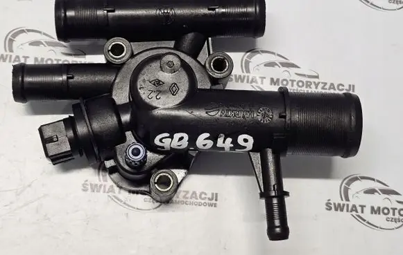 Thermostat/thermostat housing