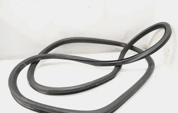 Volkswagen Golf Plus Front door rubber seal 5m0867911d