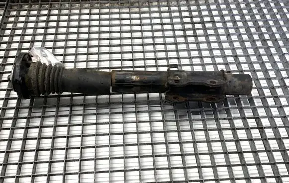 Volkswagen Crafter Front shock absorber/damper 