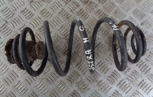 Rear coil spring