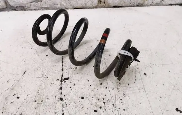 Nissan Qashqai Rear coil spring