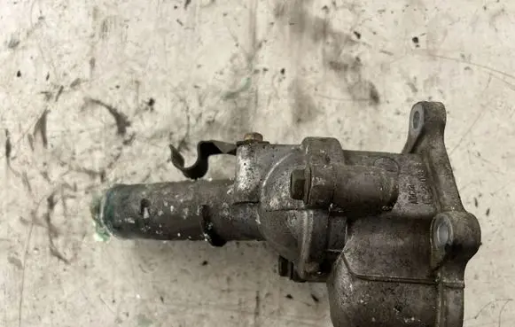 Thermostat/thermostat housing