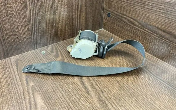 Ford Focus Front seatbelt 4M51A61295AK 33031800