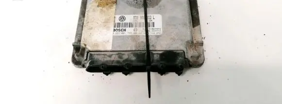Seat Arosa Engine control unit/module 038906013L 0281001748