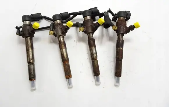 Nissan Qashqai Fuel injector H8200294788 166009445R