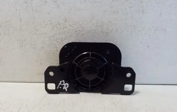 Front door high frequency speaker