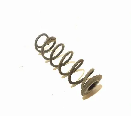 Skoda Fabia Mk4 (6VA) Rear coil spring 2Q0511121