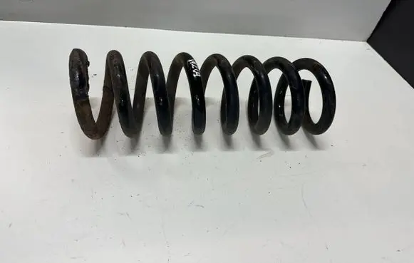 Rear coil spring
