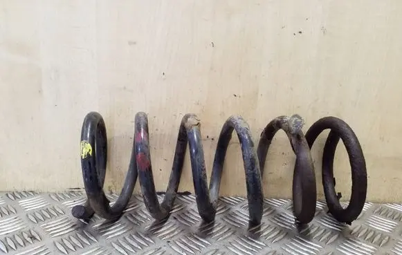 Opel Antara Rear coil spring