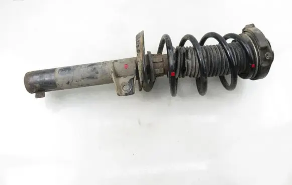 Volkswagen Tiguan Front shock absorber with coil spring 