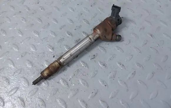 Peugeot Partner III Fuel injector 9828959880 0445110955