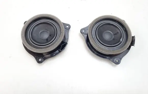Front door high frequency speaker