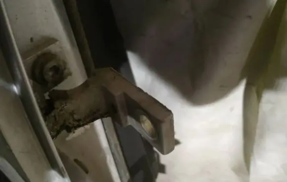 Rear door lower hinge