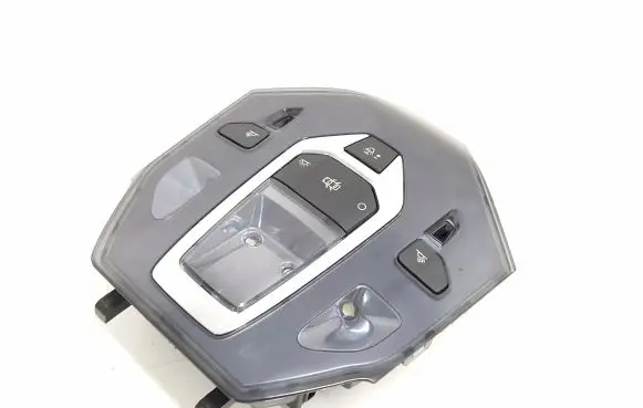 Citroen DS5 Front seat light 96702429XT N1003