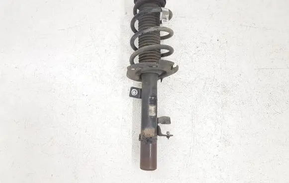 Ford Escape III Front shock absorber/damper CV6118045 CV6118045NLC X079M3