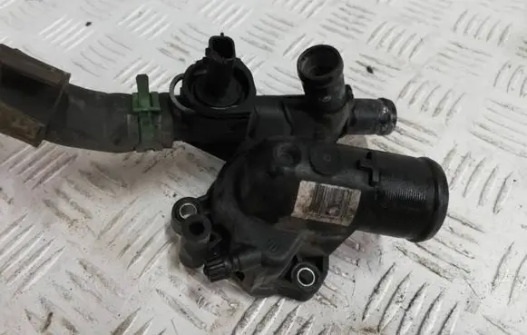 Thermostat/thermostat housing