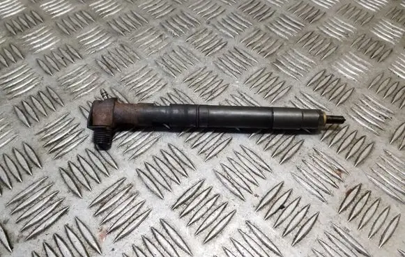 Chevrolet Captiva Fuel injector 28489548 25195089