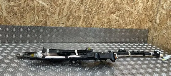 Lexus UX Roof airbag TG11E01001