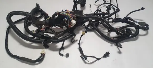Nissan Juke I F15 Engine installation wiring loom 24012BV95E