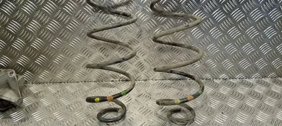 Rear coil spring