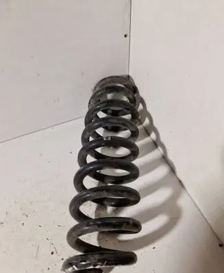 Rear coil spring