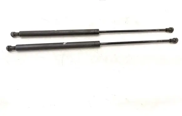 Peugeot 206 Tailgate/trunk strut/damper 9631441380