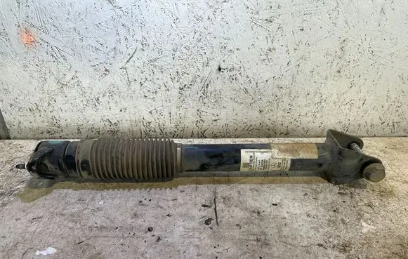Mercedes-Benz GL X166 Rear shock absorber/damper A1663262200 844905001051