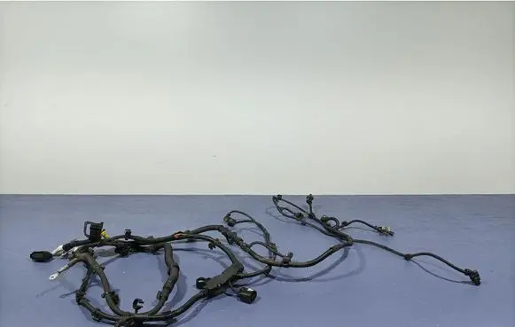 BMW X7 G07 Other wiring loom 8476955